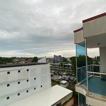 Esperanto 402 Large Sunny *